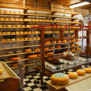 Käse aus Ostfriesland – regionale Spezialitäten online kaufen